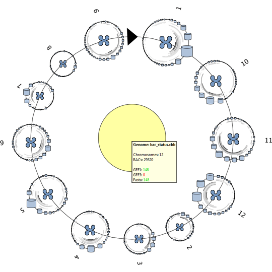 Genome visualization