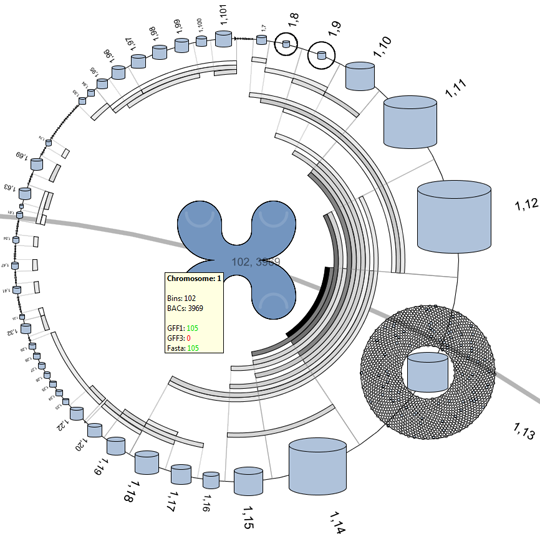 Chromosome visualization