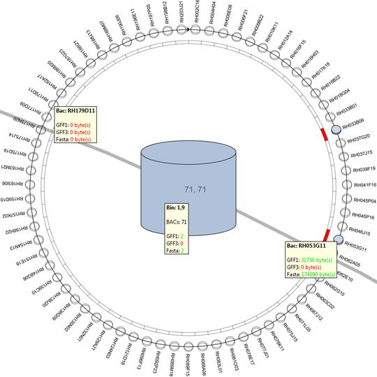 BIN/BAC visualization