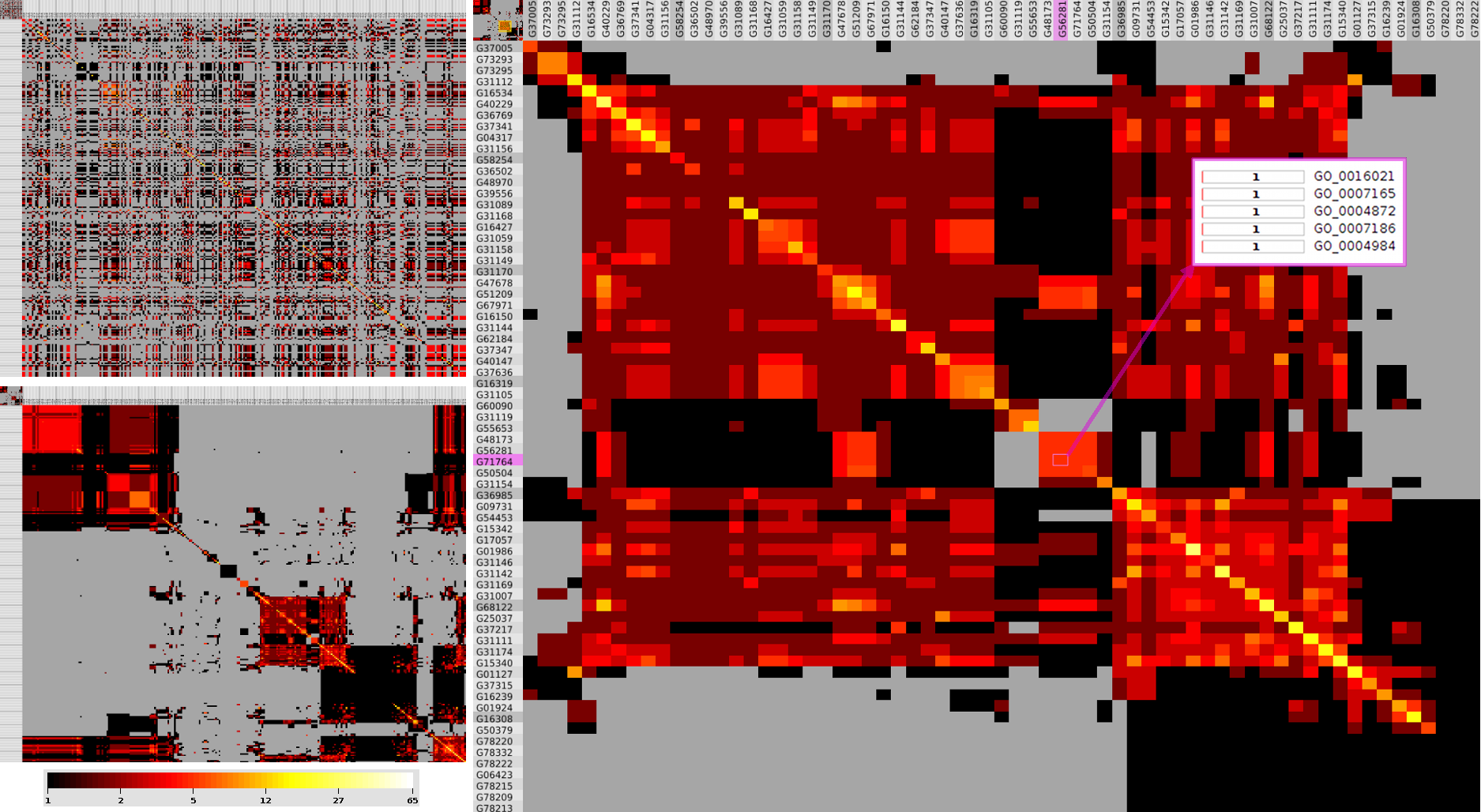 COMBat: Visualizing co-occurrence of annotation terms